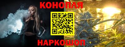 крисы Чебаркуль