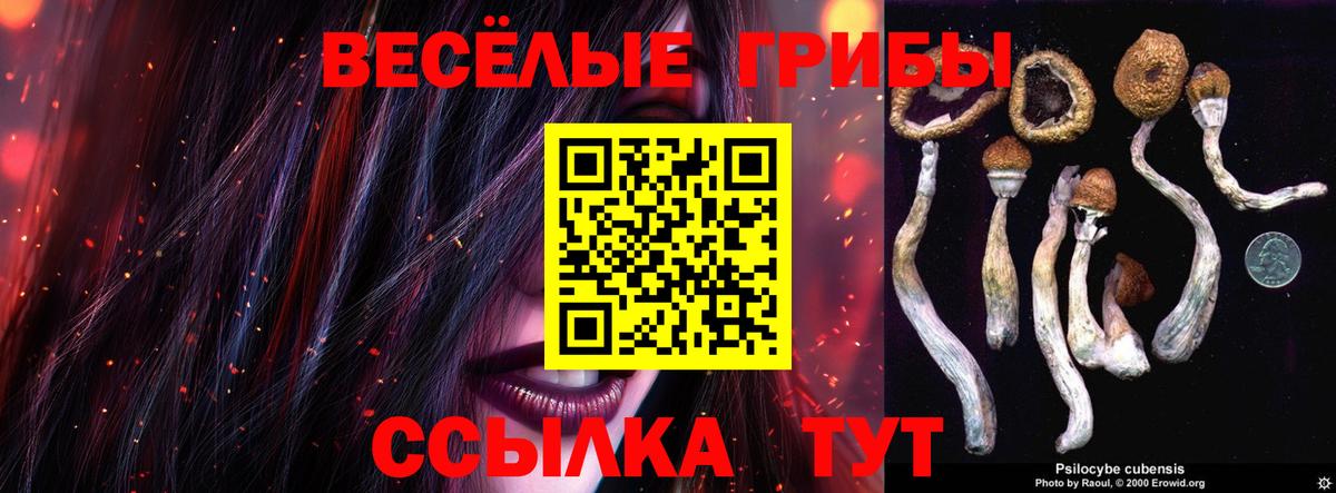 Ногинск  Галлюциногенные грибы мухоморы  Вход с VPN 